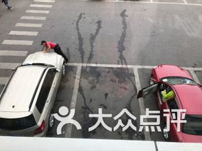 北京中華民族園南門(mén)停車場(chǎng) 北京中華民族園南門(mén)停車場(chǎng)愛(ài)車