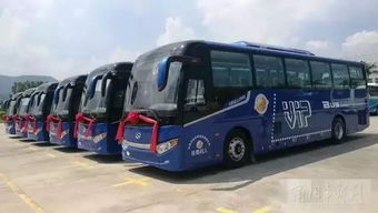 金龍汽車(chē)集團(tuán)傾情服務(wù)第十三屆全國(guó)運(yùn)動(dòng)會(huì)，以卓越汽車(chē)裝飾服務(wù)護(hù)航體育盛事